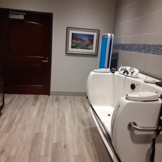 An accessible bathroom with a walk-in bathtub, wooden flooring, and a framed picture on the wall.