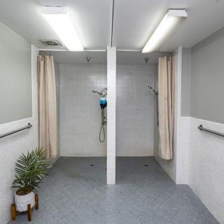 A clean, tiled shower area with two stalls separated by curtains and adorned with a potted plant.