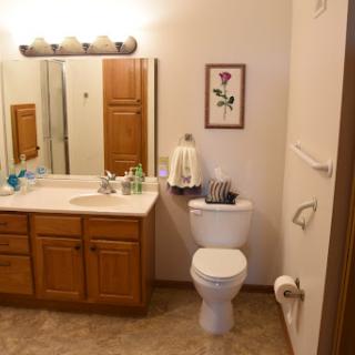 A well-lit bathroom featuring a sink area with wooden cabinets, a toilet, and decorative elements.