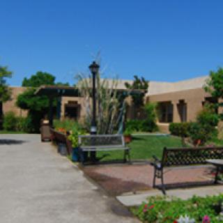 A serene park setting with benches, greenery, and a clear blue sky.