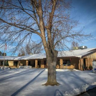 A house surrounded by snow under a clear blue sky, featuring a large tree in the front yard.