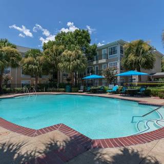 A sunny day at an apartment complex with a clear blue swimming pool surrounded by palm trees and well-maintained landscaping.