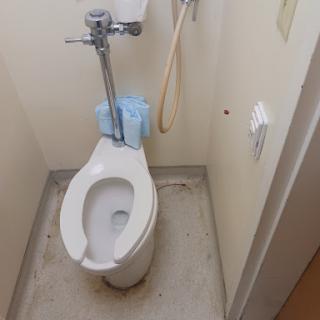A clean and simple toilet setup in a bathroom.