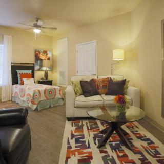 A cozy living room with a sofa, lamp, and a colorful rug.