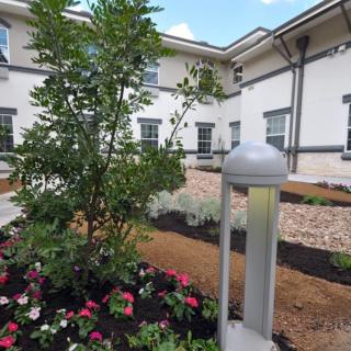 A landscaped garden area with flowers and trees in front of a modern building.
