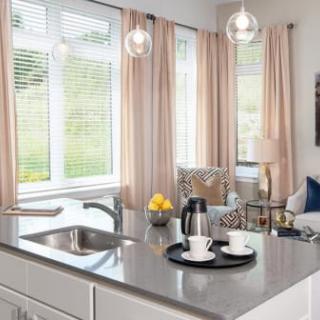 A modern open-concept kitchen and living area with a sleek countertop and cozy decor.
