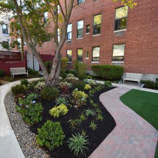A landscaped garden with pathways, benches, and a variety of plants is situated next to a brick building.