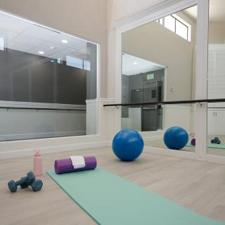 A home gym setup featuring a yoga mat, dumbbells, a stability ball, and a foam roller in front of large mirrors.