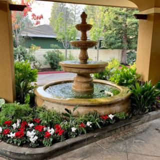 A tranquil garden scene featuring a beautiful fountain surrounded by vibrant flowers.