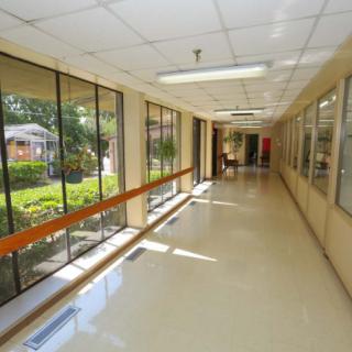 A bright hospital corridor with large windows allowing natural light to flood in.
