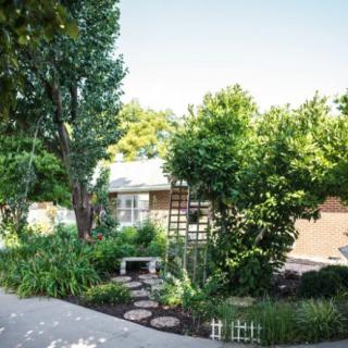 A lush garden with a stone pathway leading to a house, surrounded by vibrant greenery and tall trees.