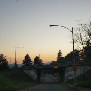 A tranquil sunset view beneath an underpass, surrounded by trees and streetlights.
