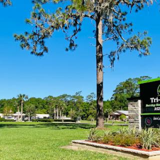 A serene view of a park featuring lush greenery and a clear blue sky.