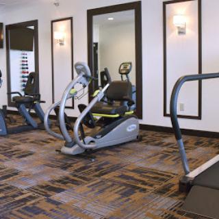 A well-equipped fitness center featuring various cardio machines for a complete workout.