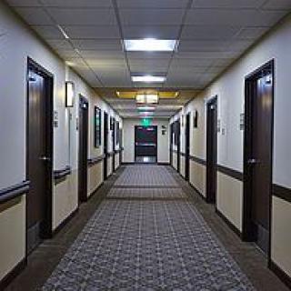 A hotel hallway with closed doors and a carpeted floor.