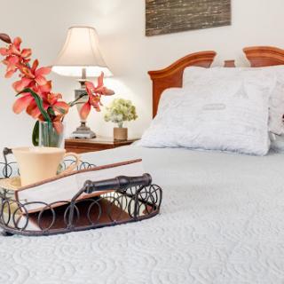 A cozy and elegantly decorated bedroom featuring a neatly made bed, stylish decor elements, and a warm ambiance.