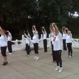 A group of people practicing tai chi outdoors in a park.
