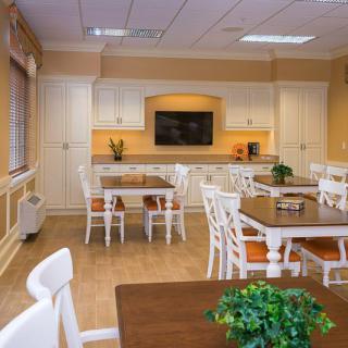 A modern and cozy kitchen and dining area with neatly arranged tables and chairs, complemented by decorative plants.