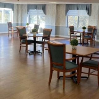 An empty dining room with tables and chairs, decorated with small plants and featuring large windows with curtains.