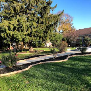 A serene garden pathway surrounded by lush greenery and tall trees.