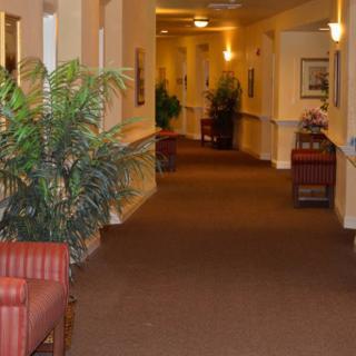 A warmly lit hallway with decorative plants and seating areas.
