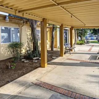A shaded outdoor patio with a pergola and walkway.
