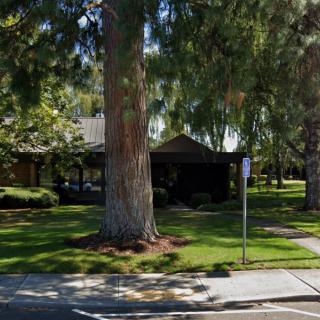 A suburban street scene with lush greenery and large trees lining a quiet sidewalk.