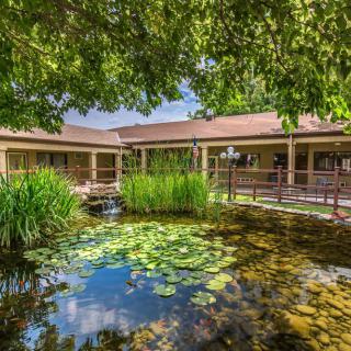 A tranquil garden with a pond filled with lily pads, surrounded by greenery and an outdoor building.
