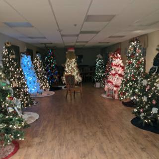 A beautifully decorated indoor space filled with various Christmas trees, each adorned with lights and ornaments, creating a festive atmosphere.
