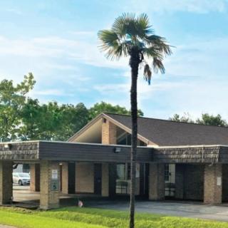 A building with a palm tree in front, set against a clear blue sky.
