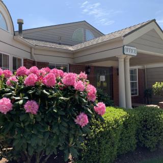 A building entrance adorned with vibrant pink flowers and lush green bushes on a sunny day.
