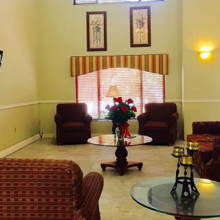 A cozy living room with comfortable sofas, a coffee table, and decorative elements.