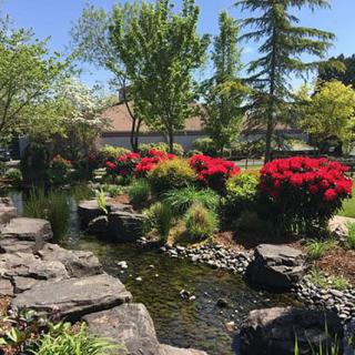 A beautiful garden landscape featuring a pond surrounded by vibrant red flowers and lush greenery.
