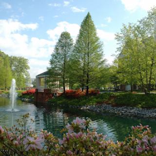 A serene park scene featuring a tranquil pond, vibrant flowers, and lush green trees under a clear blue sky.