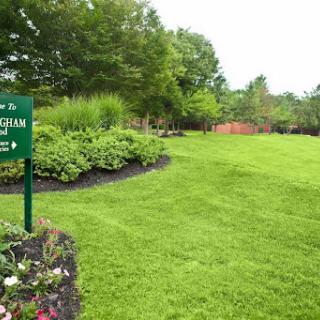A well-maintained garden path surrounded by lush greenery and flowers.