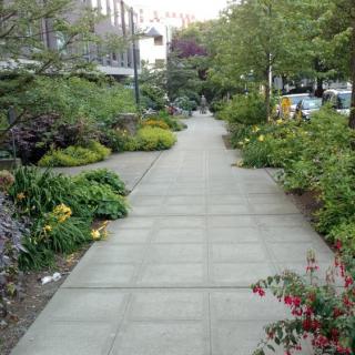 A city sidewalk surrounded by lush greenery.