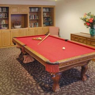 A cozy room featuring a red-felt pool table with a cue stick, surrounded by a carpeted floor, bookshelves, and a vase of flowers.