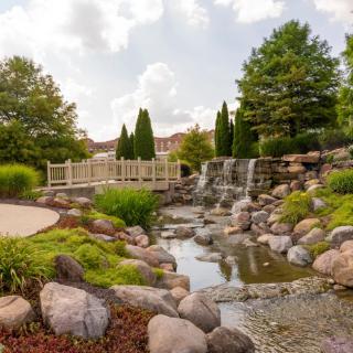 A serene garden featuring a small waterfall cascading into a stream, with a quaint bridge and lush greenery.