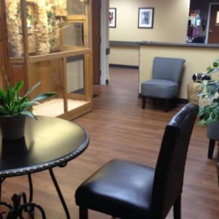 A cozy waiting room with chairs, a small table, and plant decorations.