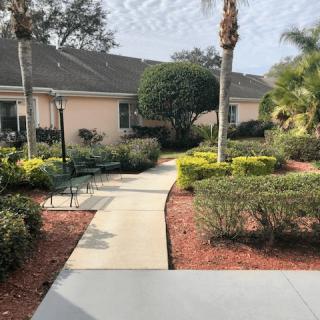A well-maintained garden with a paved walkway, surrounded by shrubs and palm trees.