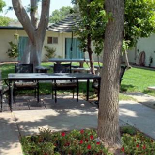 A peaceful garden with patio furniture under the shade of trees.
