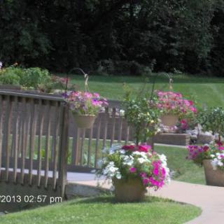 A beautifully landscaped garden with a pathway lined with vibrant flowers.