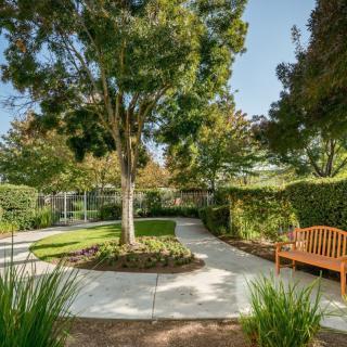 A serene garden setting with a wooden bench and a winding pathway surrounded by lush greenery.