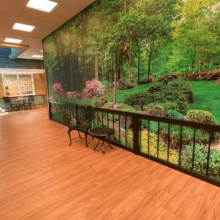 A hallway with a nature-themed mural on the wall, wooden flooring, and a bench.