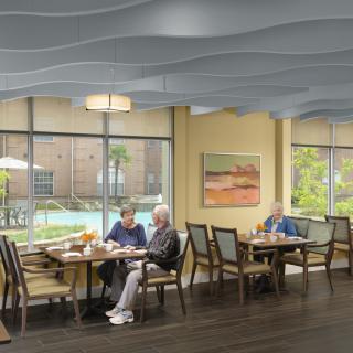 Elderly individuals enjoying a meal in a well-lit dining area with large windows.