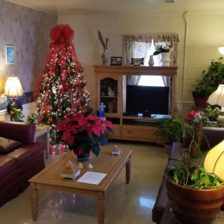 Cozy living room decorated for the holiday season with a Christmas tree and festive decorations.