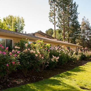 A suburban house with a beautiful garden filled with blooming roses and surrounded by lush trees and a well-maintained lawn.