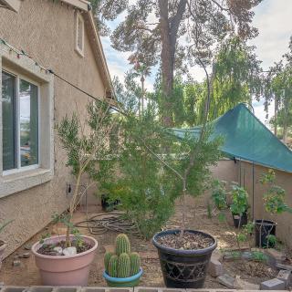 A backyard garden featuring a variety of potted plants and cacti under a shade tarp.
