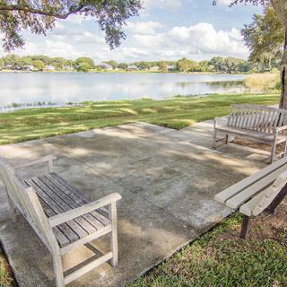A tranquil lakeside setting featuring two wooden benches under the shade of trees.