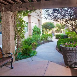 A serene garden pathway lined with lush greenery and a wooden bench under a pergola.